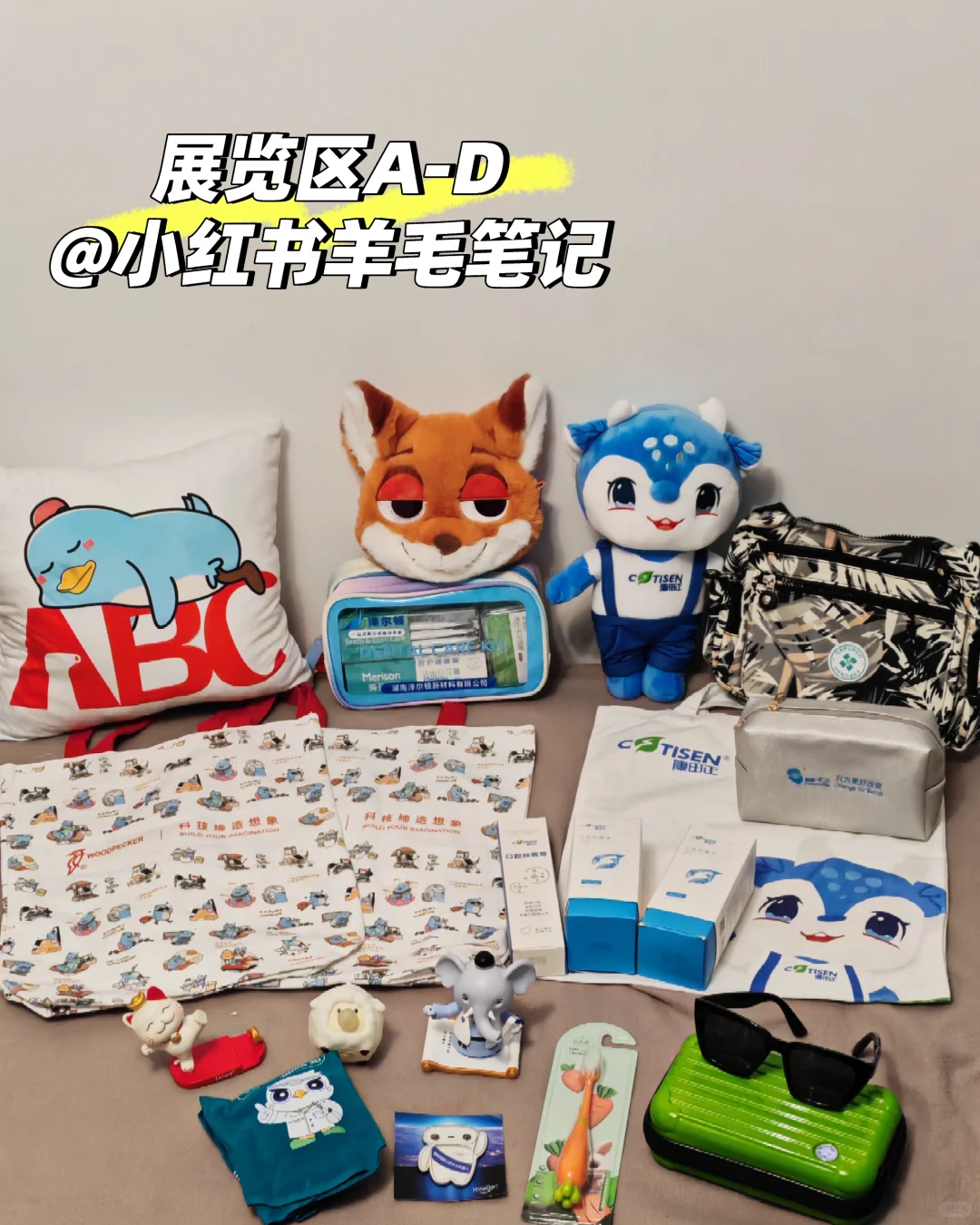 迟到不缺席的口腔展羊毛(上)