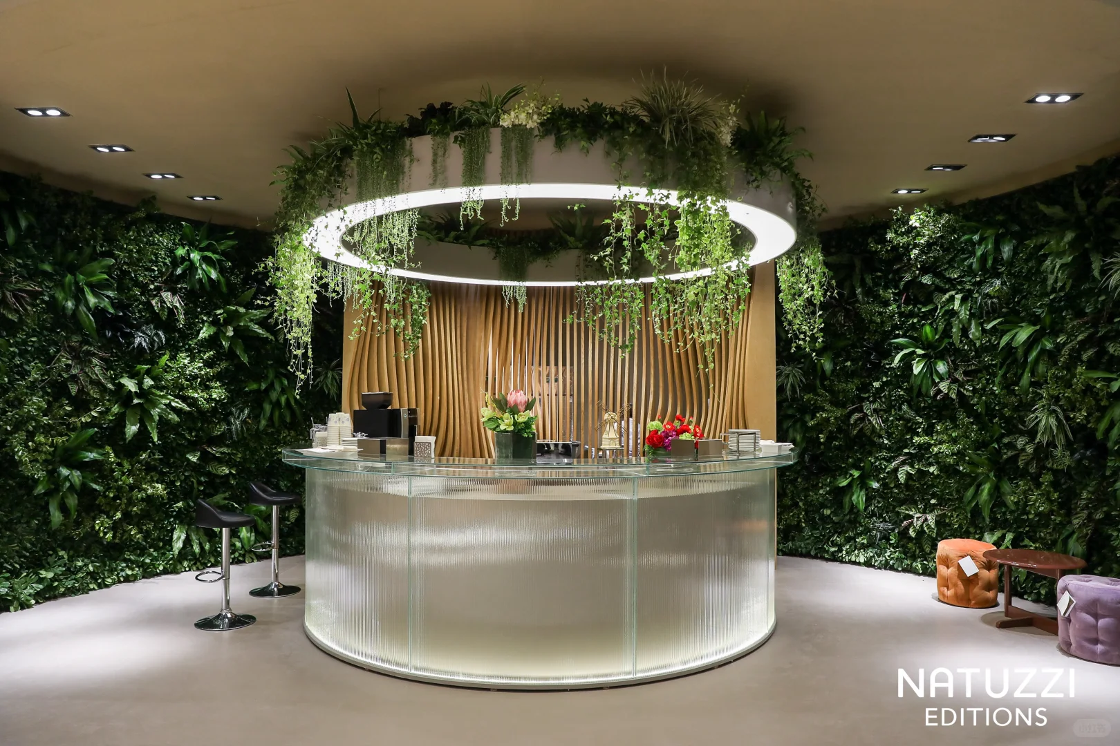 上海虹桥，国家会展中心鲜花绿植布置