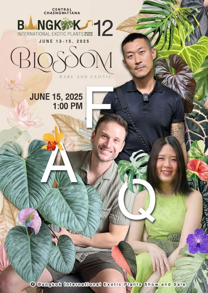 泰国曼谷珍稀热植展｜大波前瞻物料