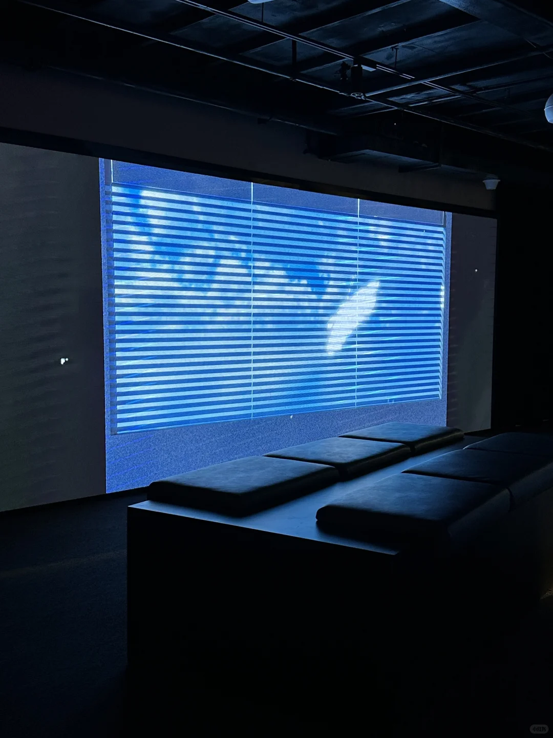 龙城CC文博会：数字艺术“超感现场”