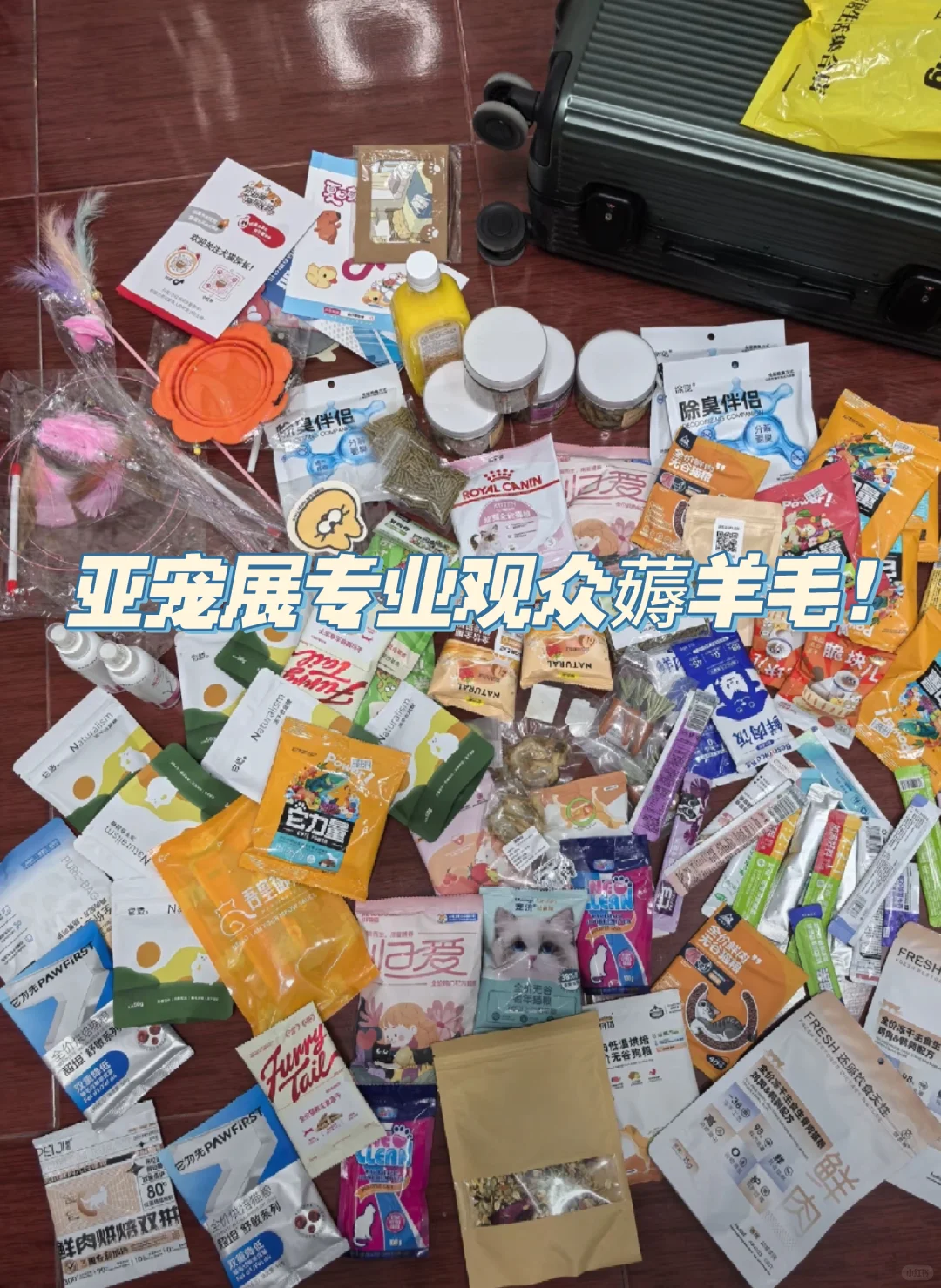 上海亚宠展薅羊毛啦?门票特惠