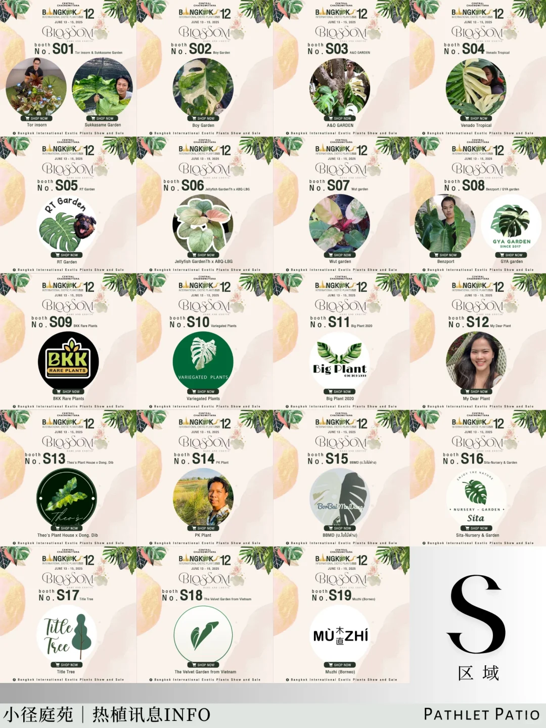 泰国曼谷珍稀热植展｜大波前瞻物料