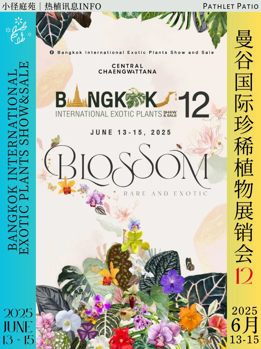 泰国曼谷珍稀热植展｜大波前瞻物料