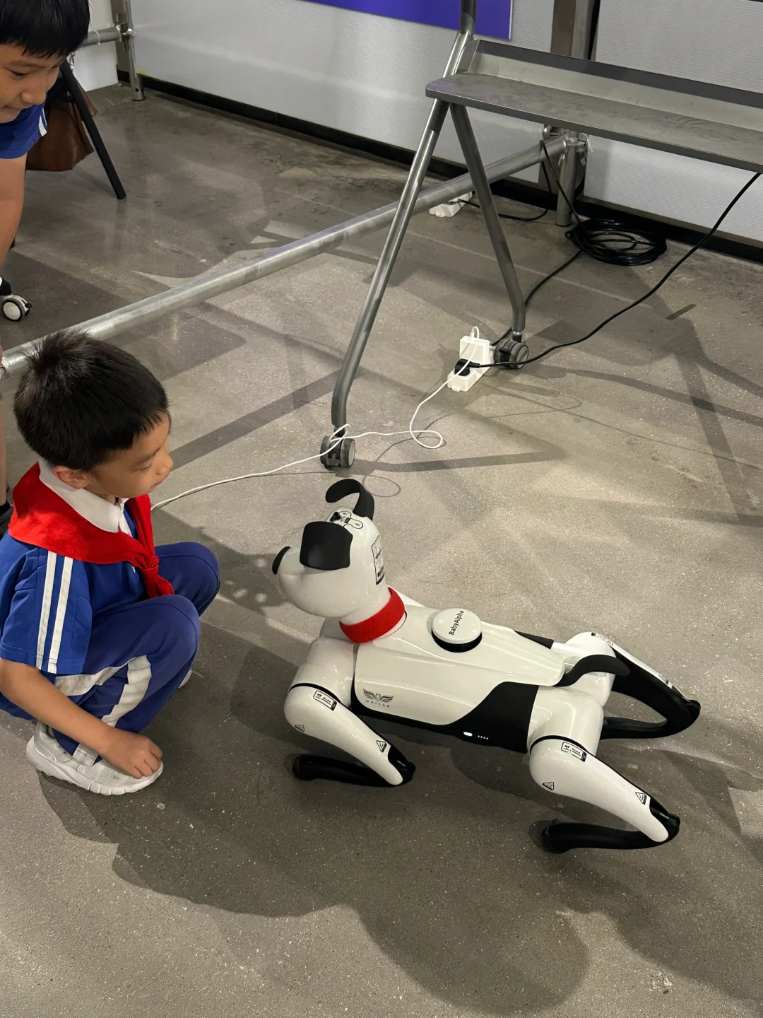 龙城CC文博会：数字艺术“超感现场”