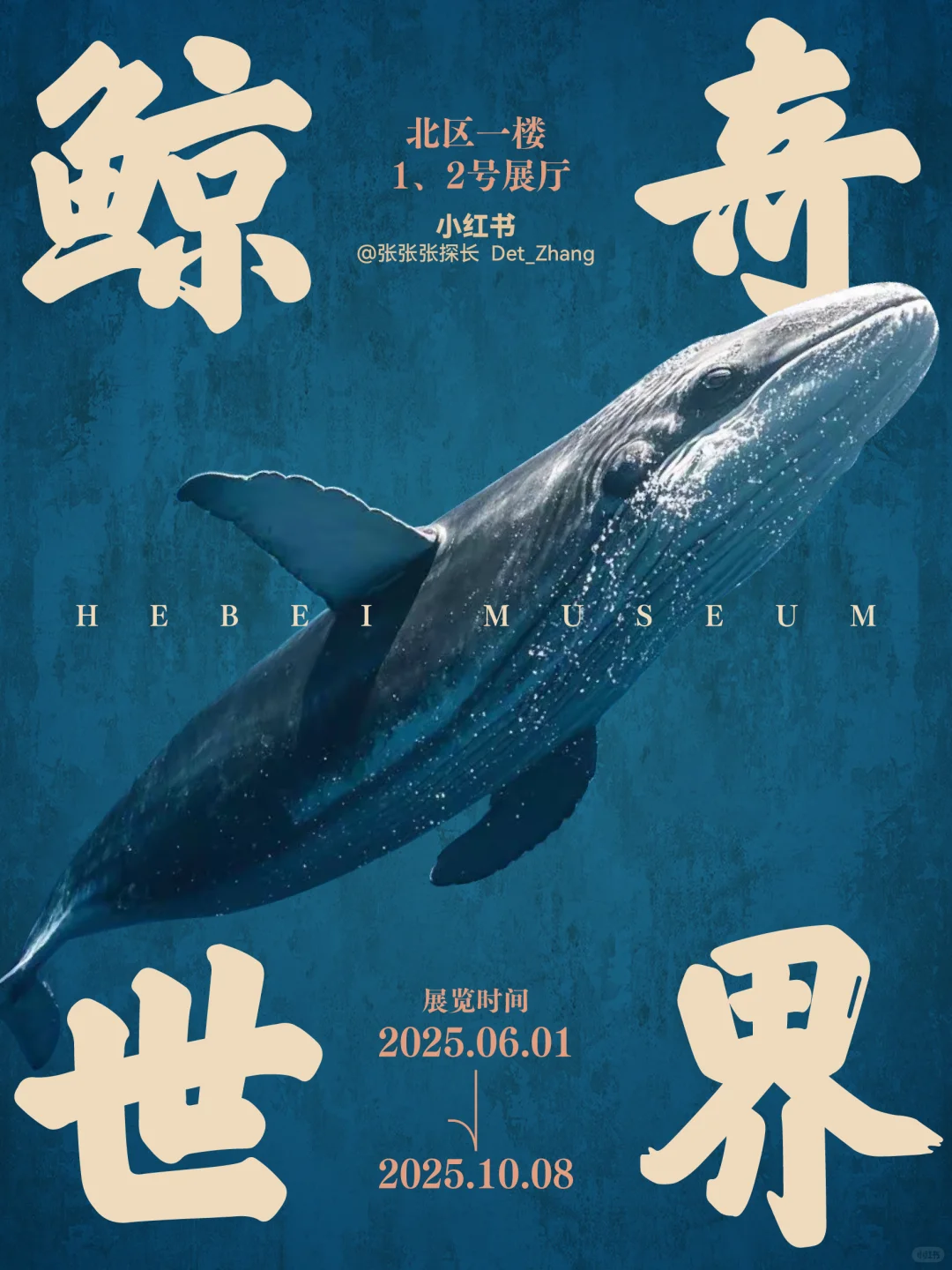 合辑：河北博物院暑期大展全攻略?