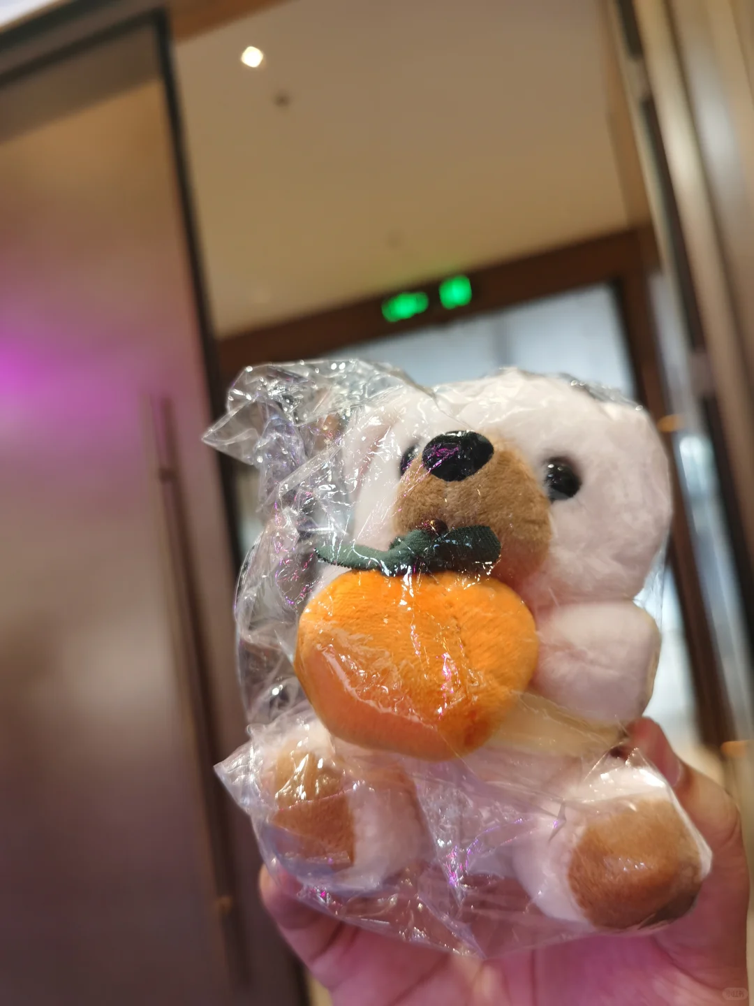 2025京津冀国际车展羊毛攻略（下）6月14