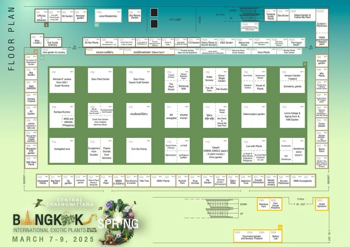 资源资讯｜2025泰国奇异植物展，巡回站点公布