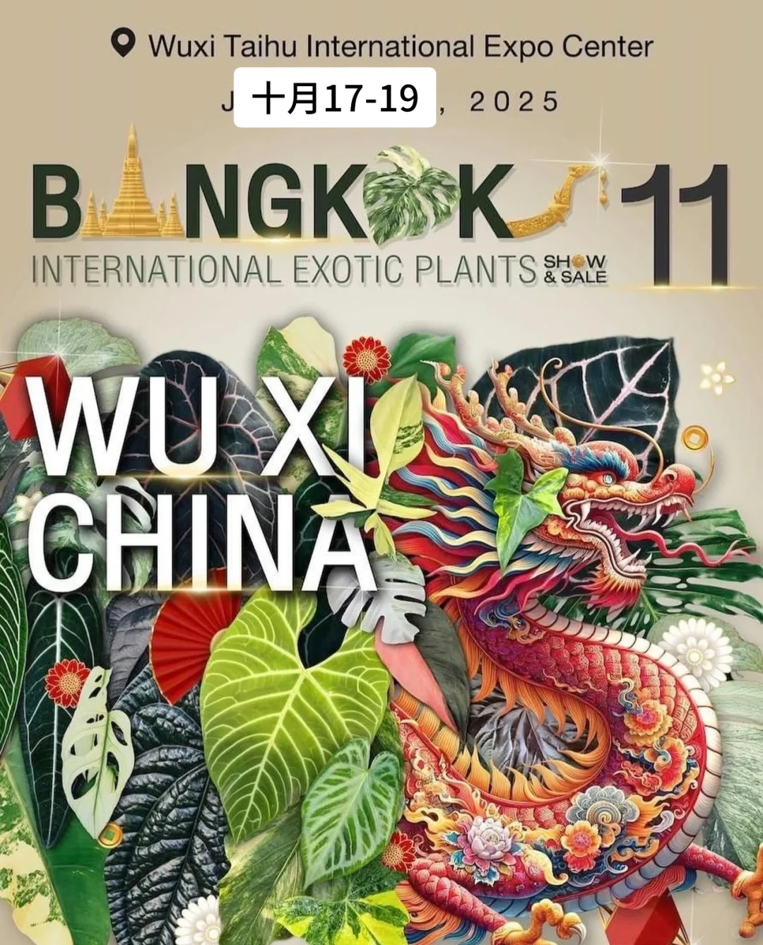 资源资讯｜2025泰国奇异植物展，巡回站点公布