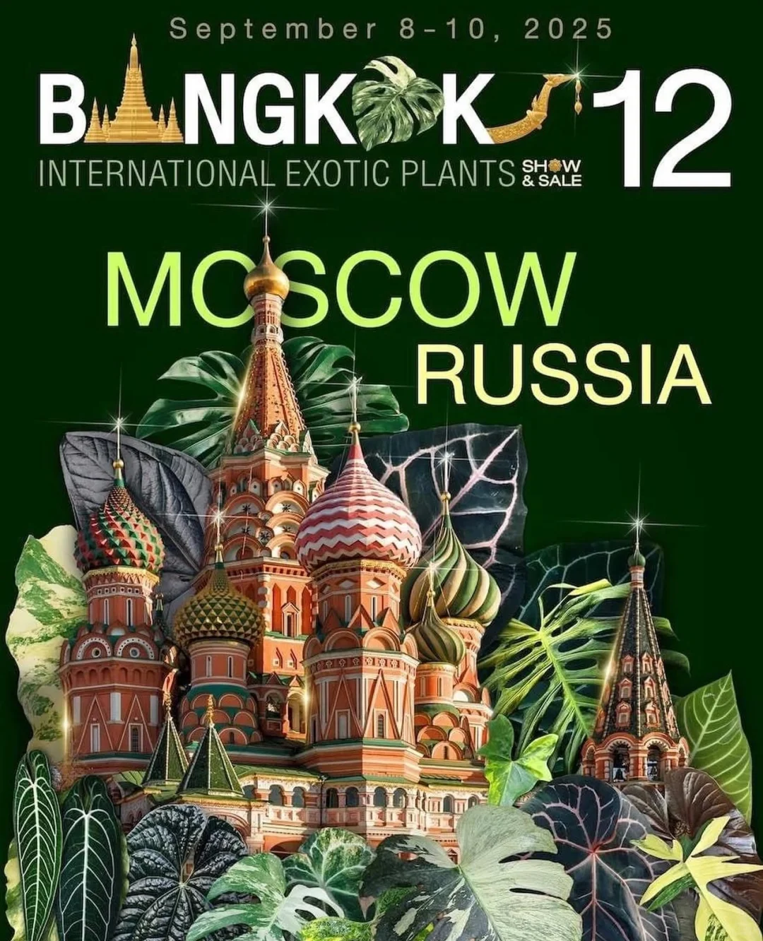 资源资讯｜2025泰国奇异植物展，巡回站点公布