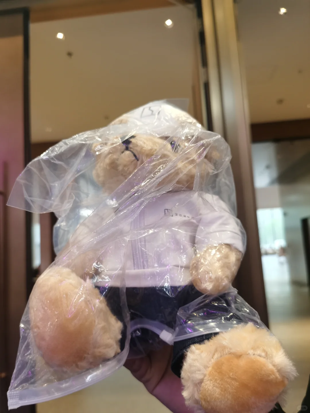 2025京津冀国际车展羊毛攻略（下）6月14