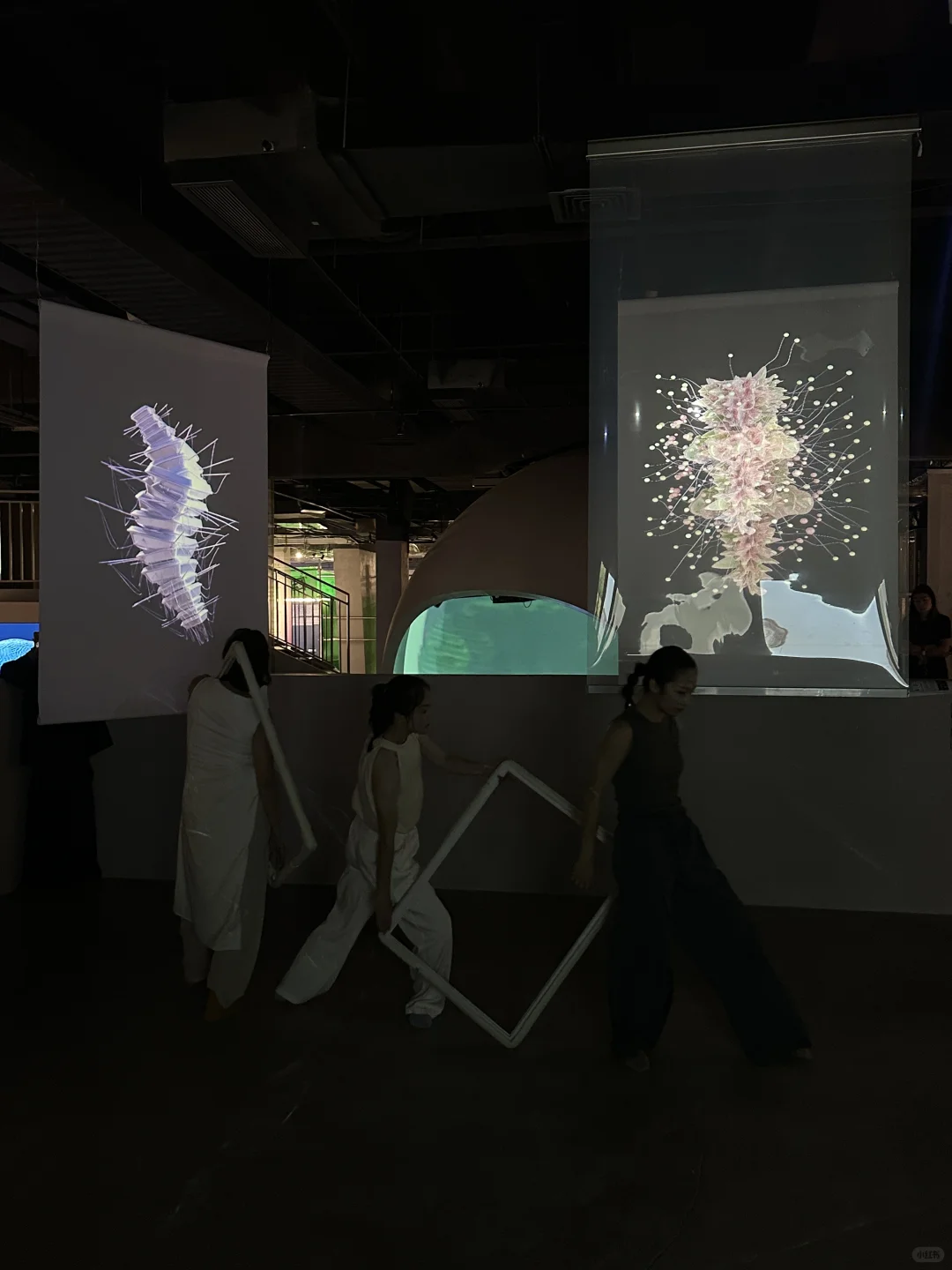 龙城CC文博会：数字艺术“超感现场”