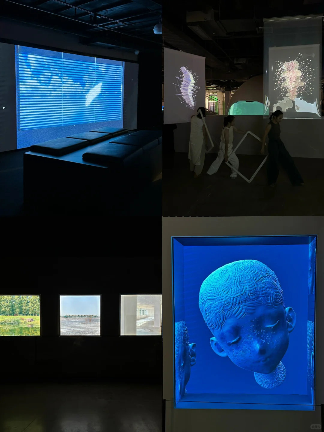 龙城CC文博会：数字艺术“超感现场”