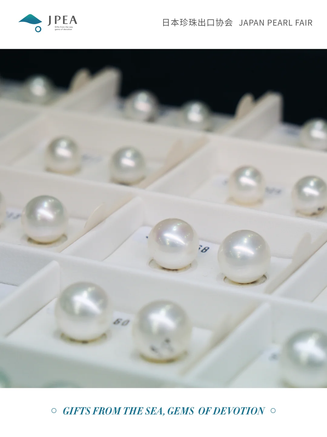 展会预告 | 第七届日本珍珠展 （JPF）