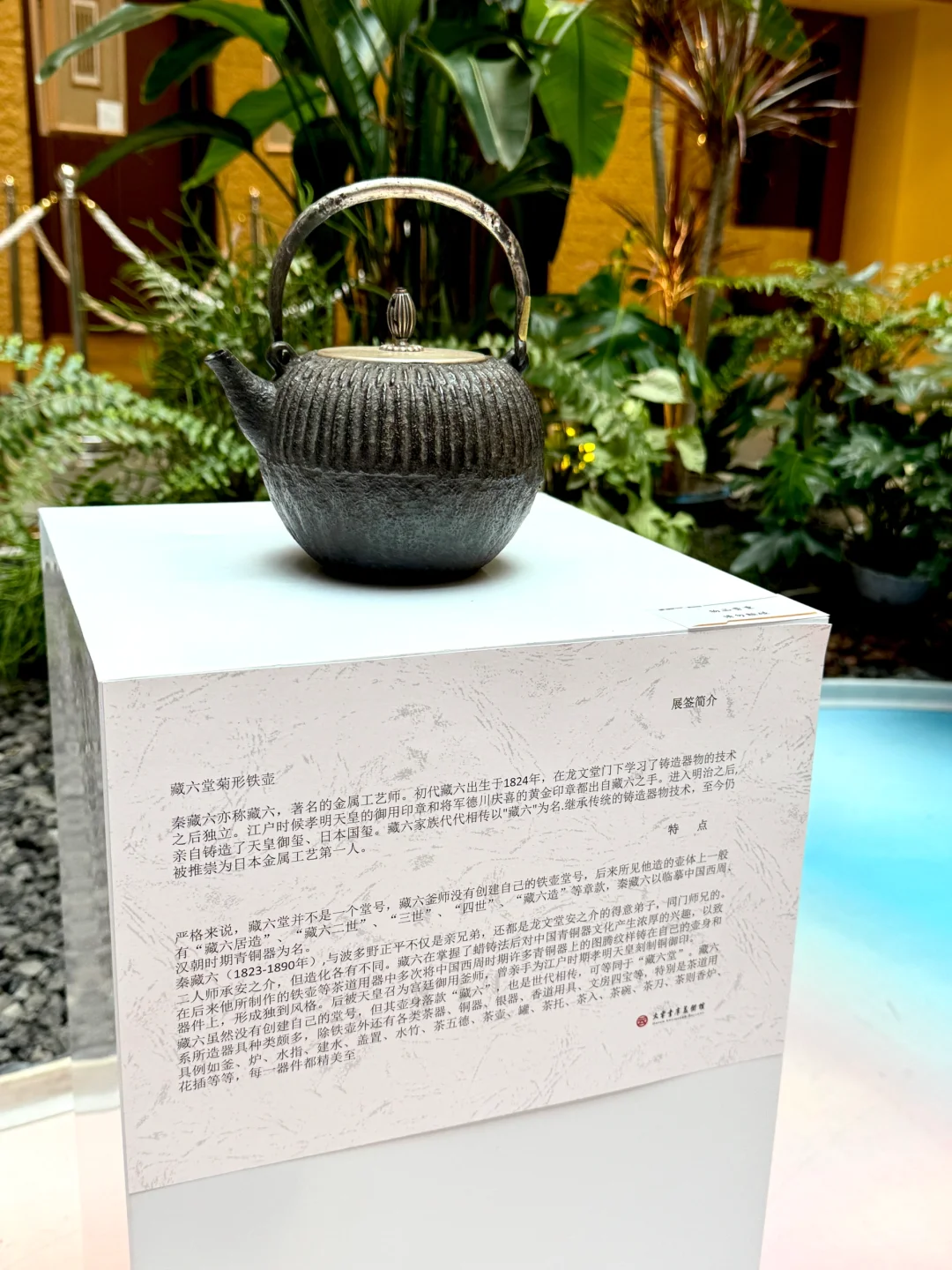 大连超有格调的新展来啦✨