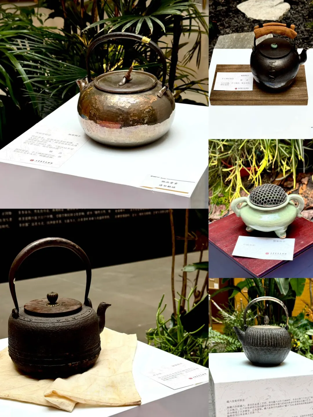 大连超有格调的新展来啦✨