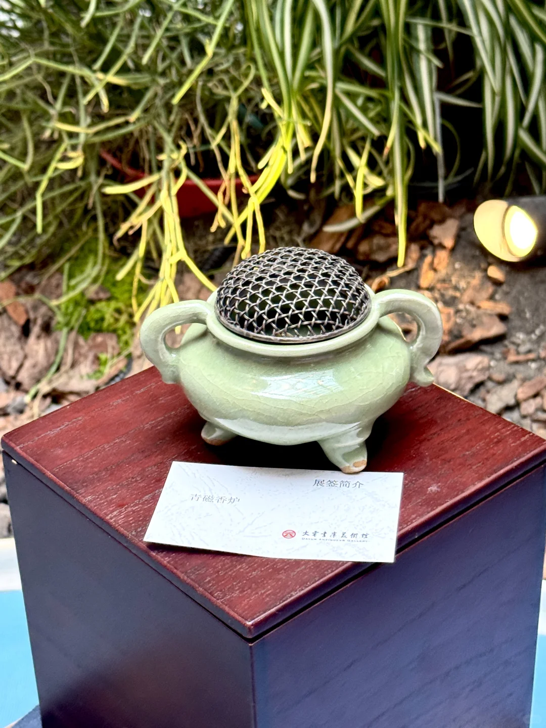 大连超有格调的新展来啦✨