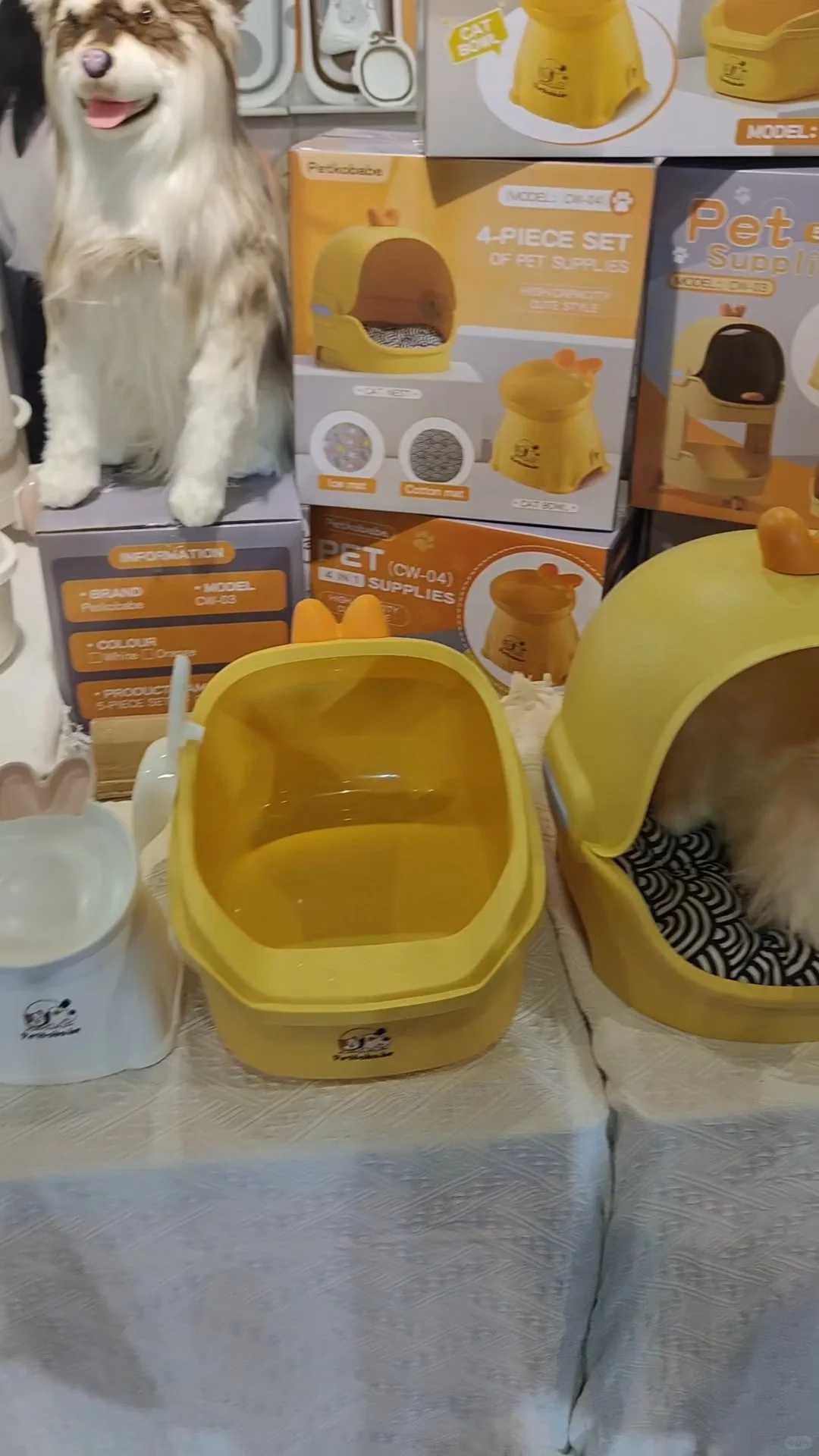 人在义乌，来看展会啦，玩具和户外用品展