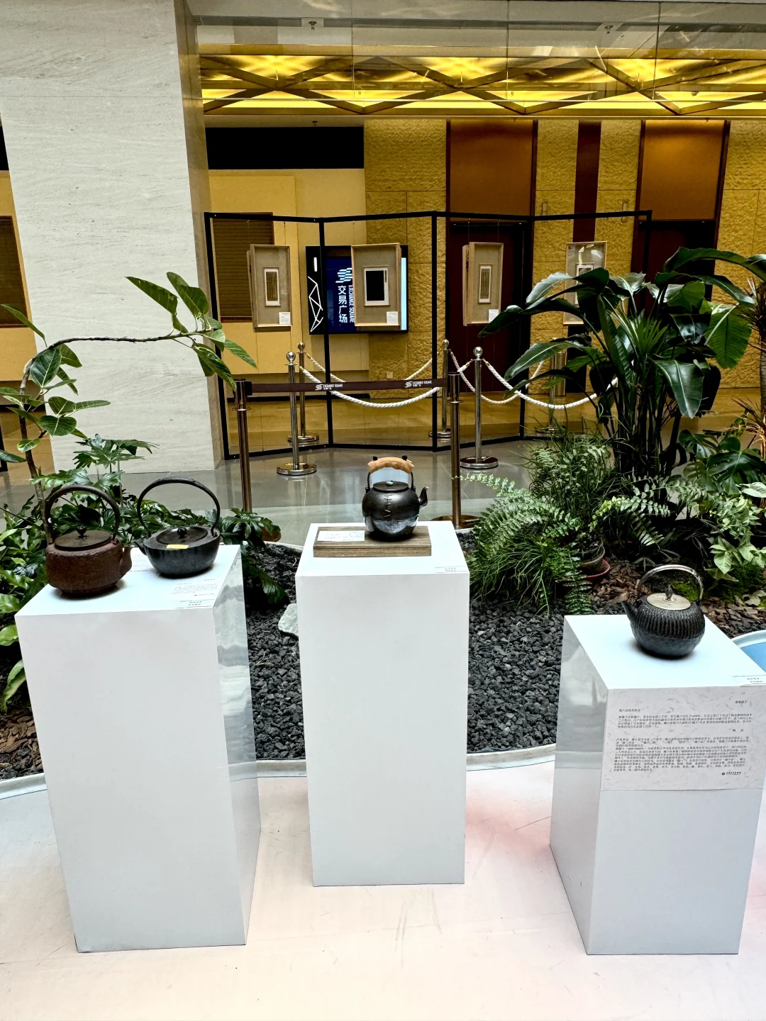 大连超有格调的新展来啦✨