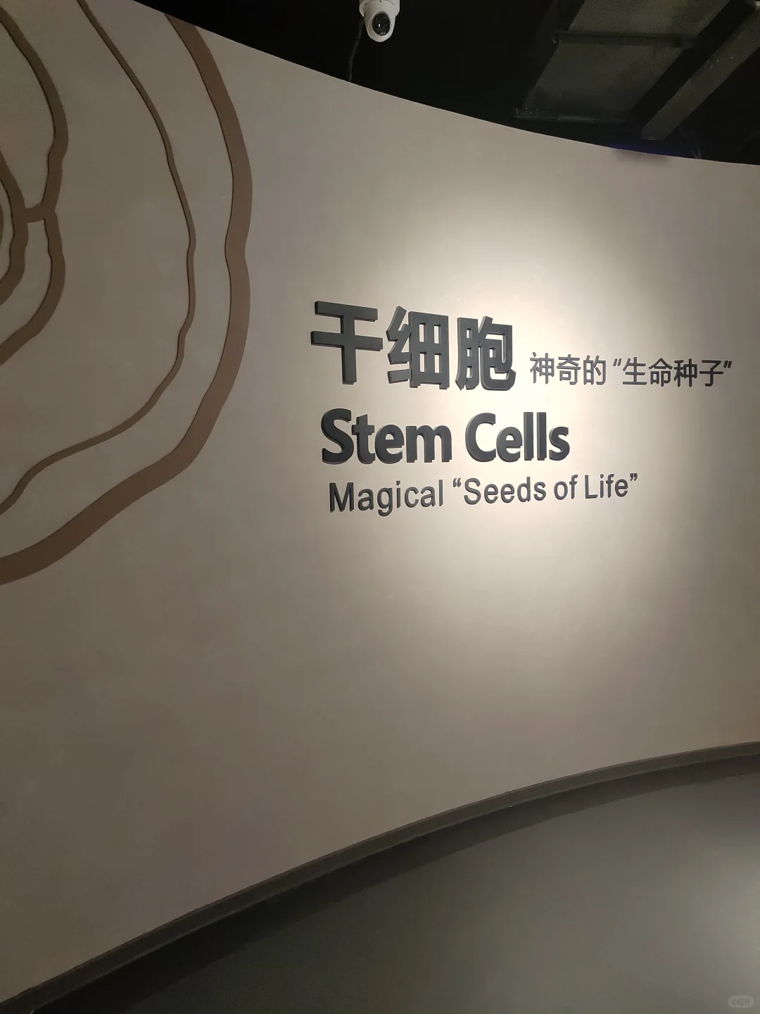 倒计时3天❗细胞生命科技馆入驻亚欧博览会