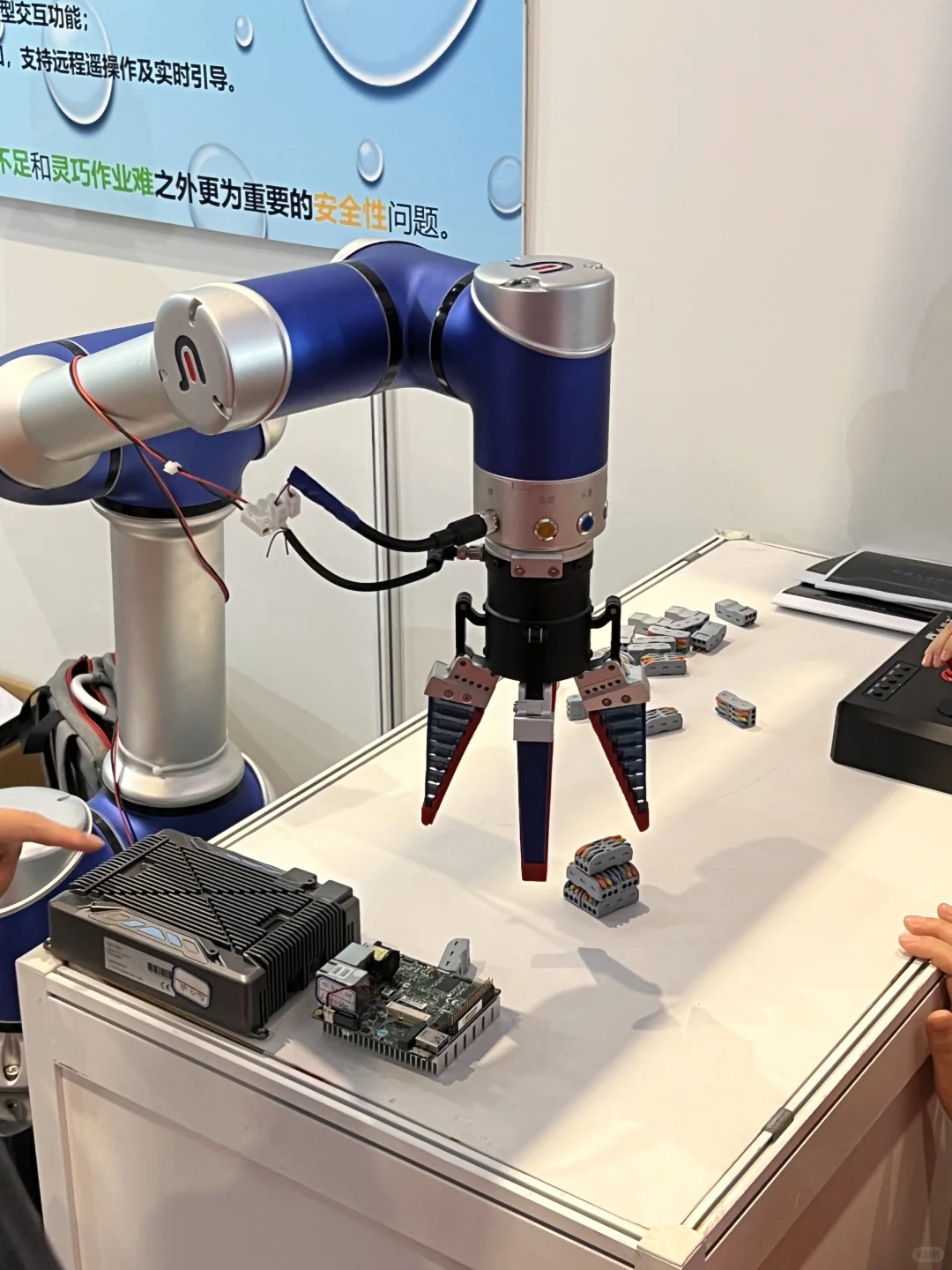 看机器人会展中