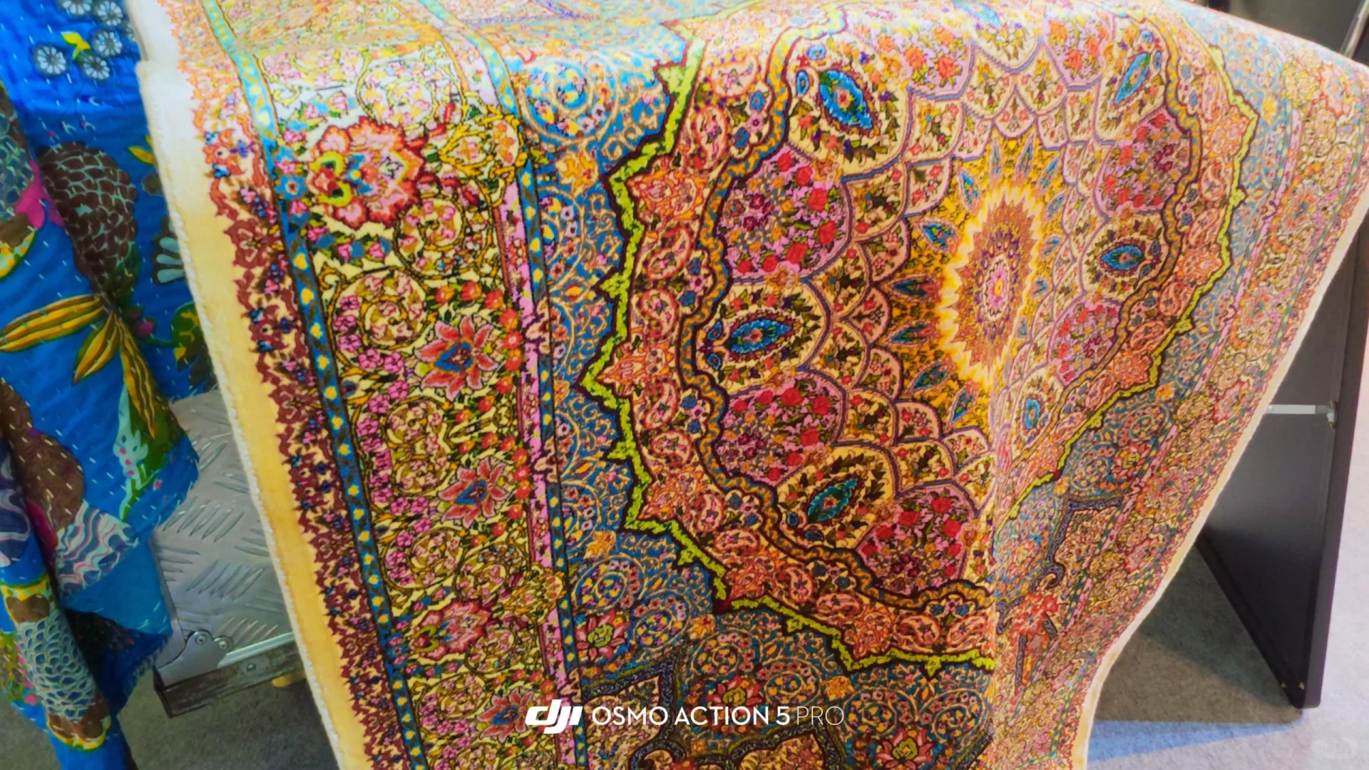 速通中非经贸博览会 gogogo买买买!