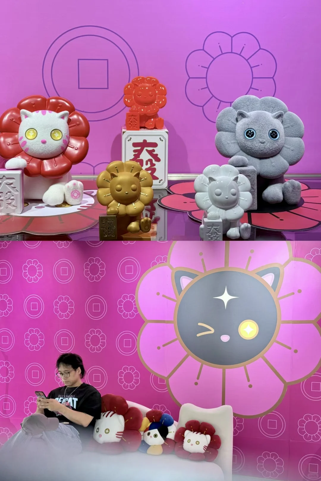 厦门新展！！速去！！超可爱的猫猫展 ！！！