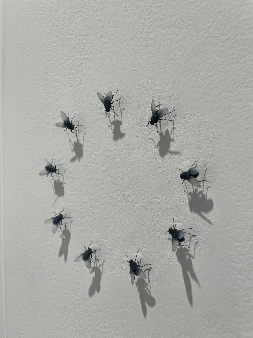 新手必知14|Art Basel HK—亚洲艺术风暴?️