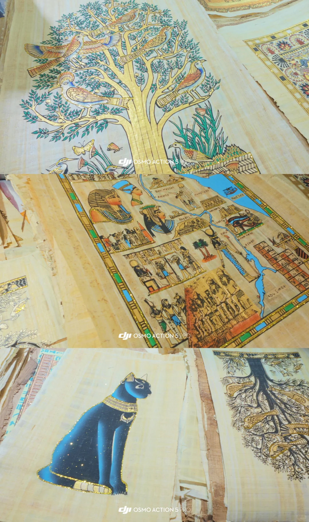 速通中非经贸博览会 gogogo买买买!