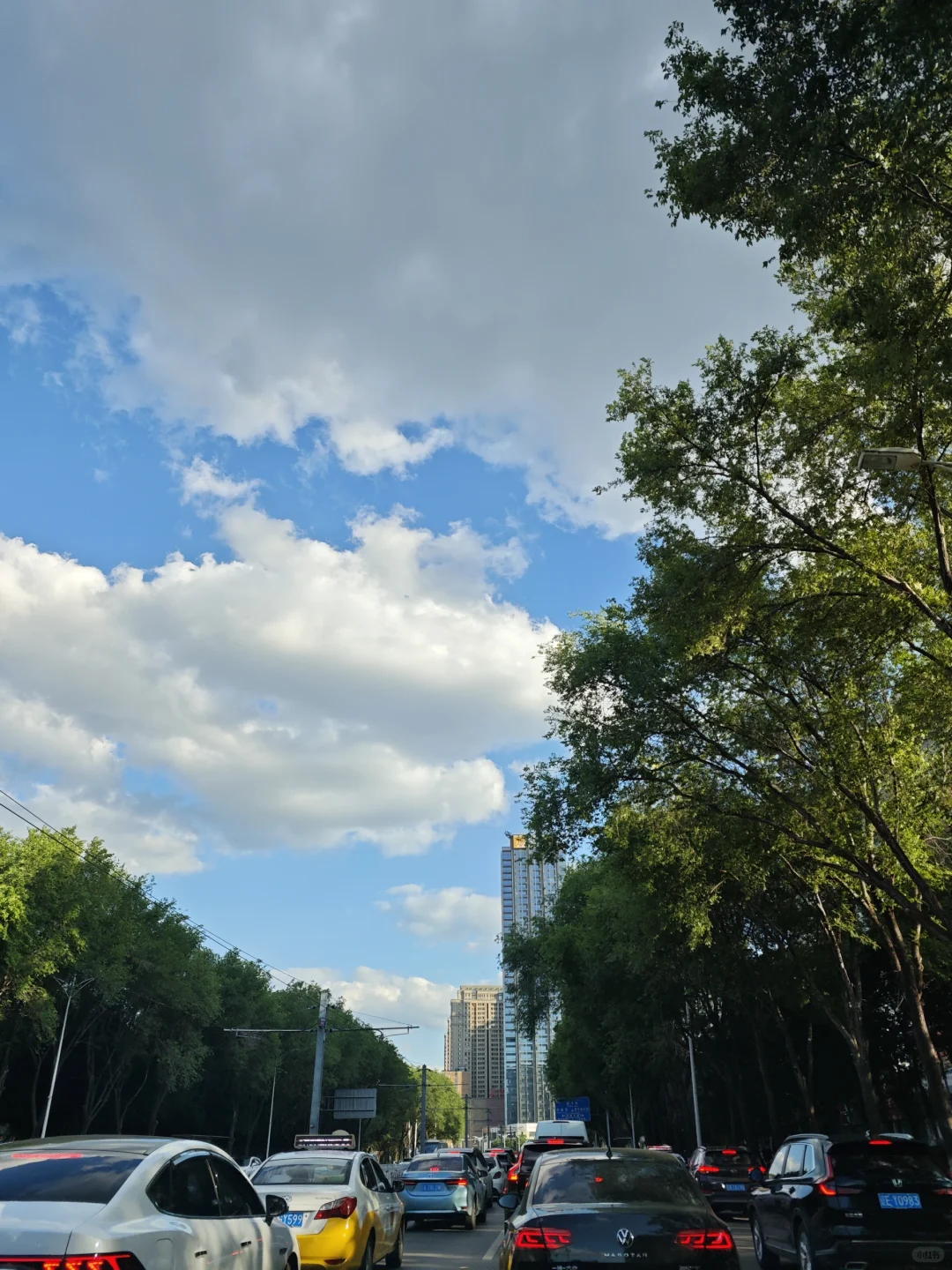 东北亚博览会 | 你来啦！