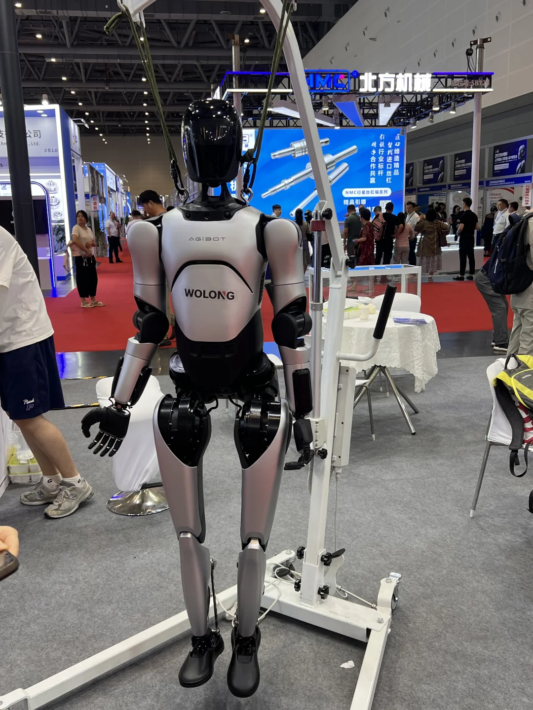 看机器人会展中