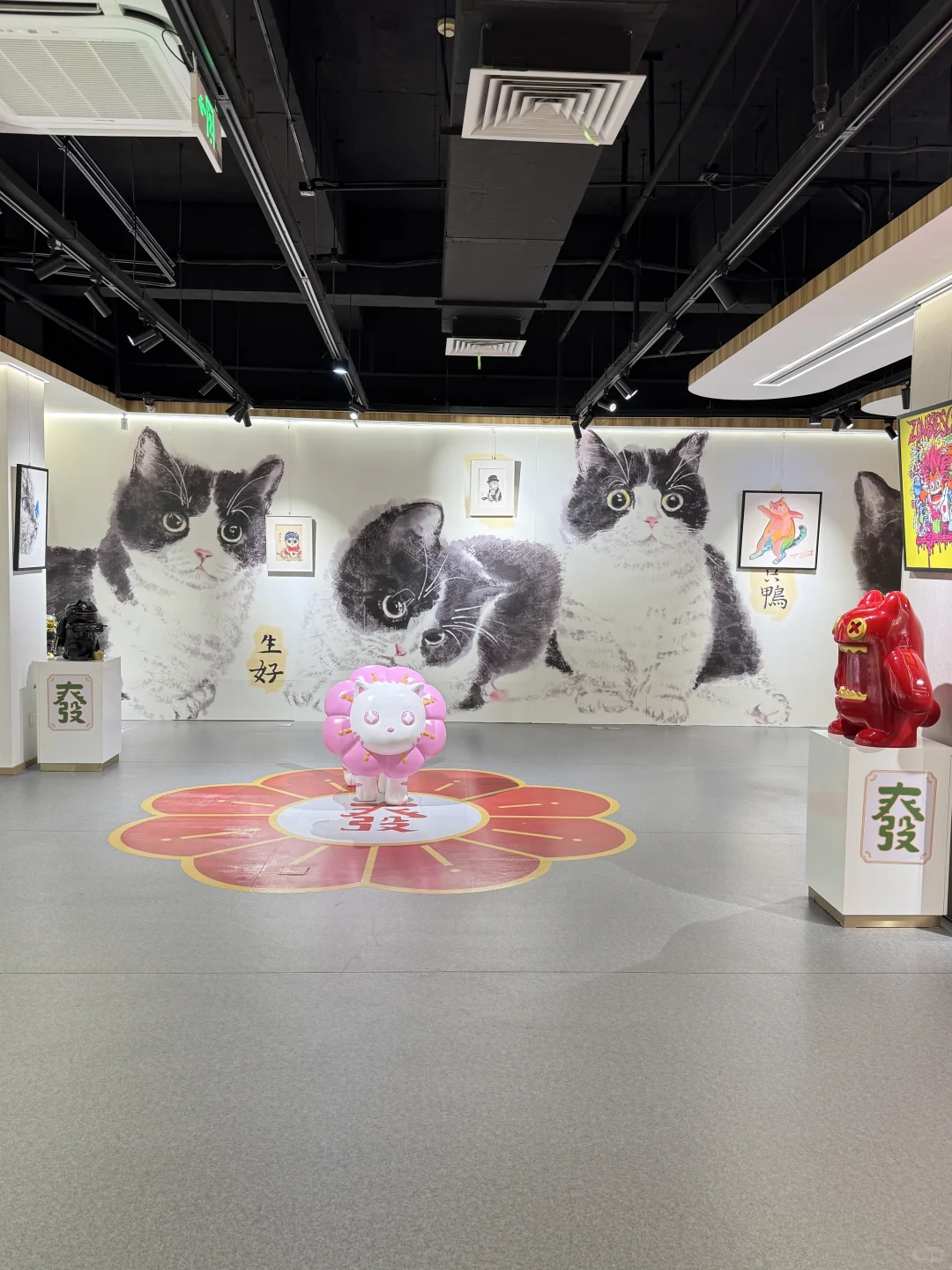 厦门新展！！！真的好好拍啊啊啊…