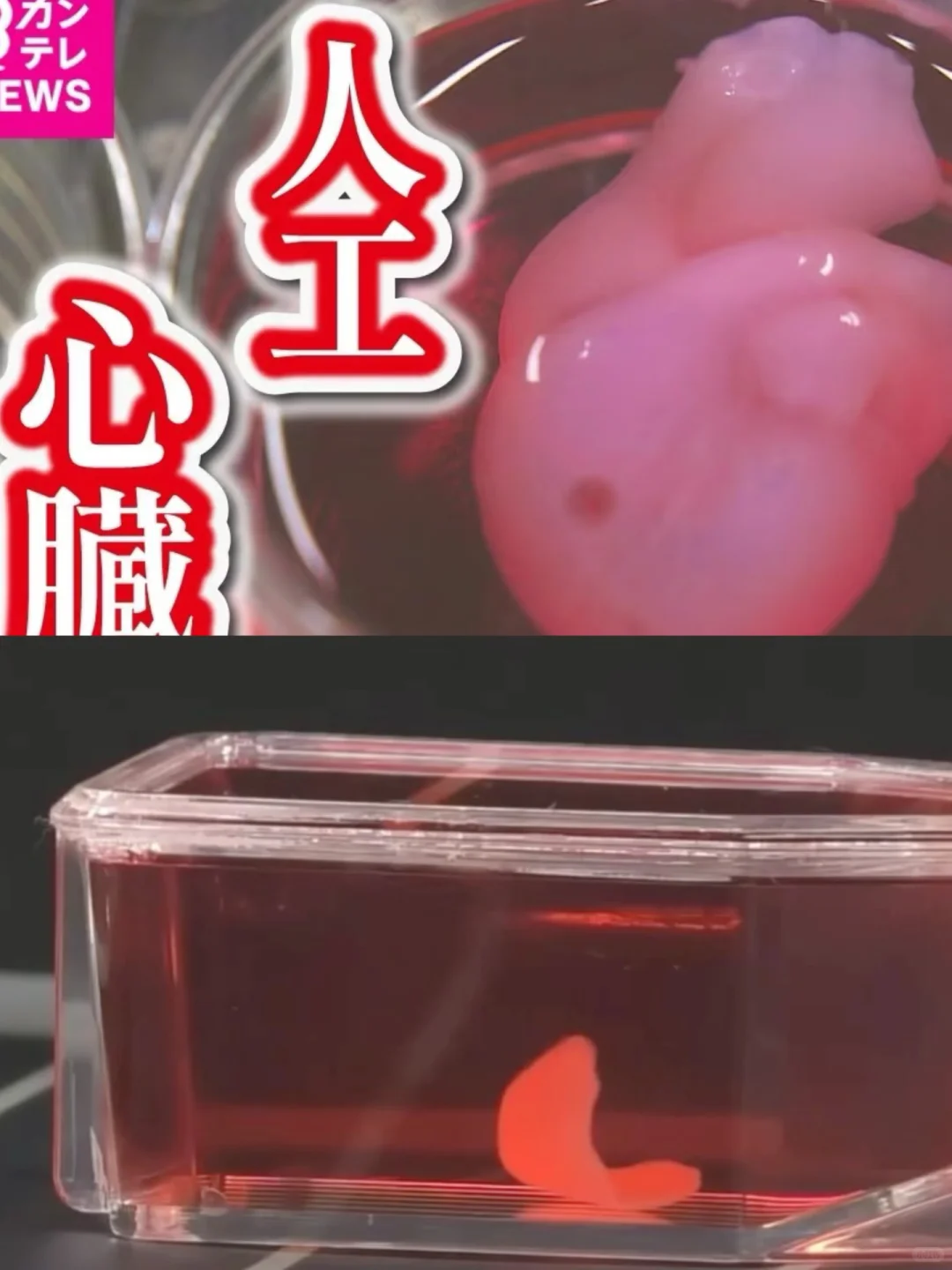 ✨没预约不要紧，来大坂世博会这几个馆首冲❗