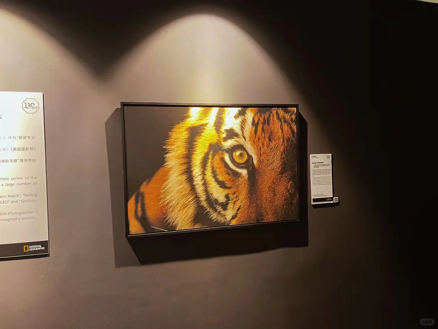 把世界?各地的美好收纳到展览里?