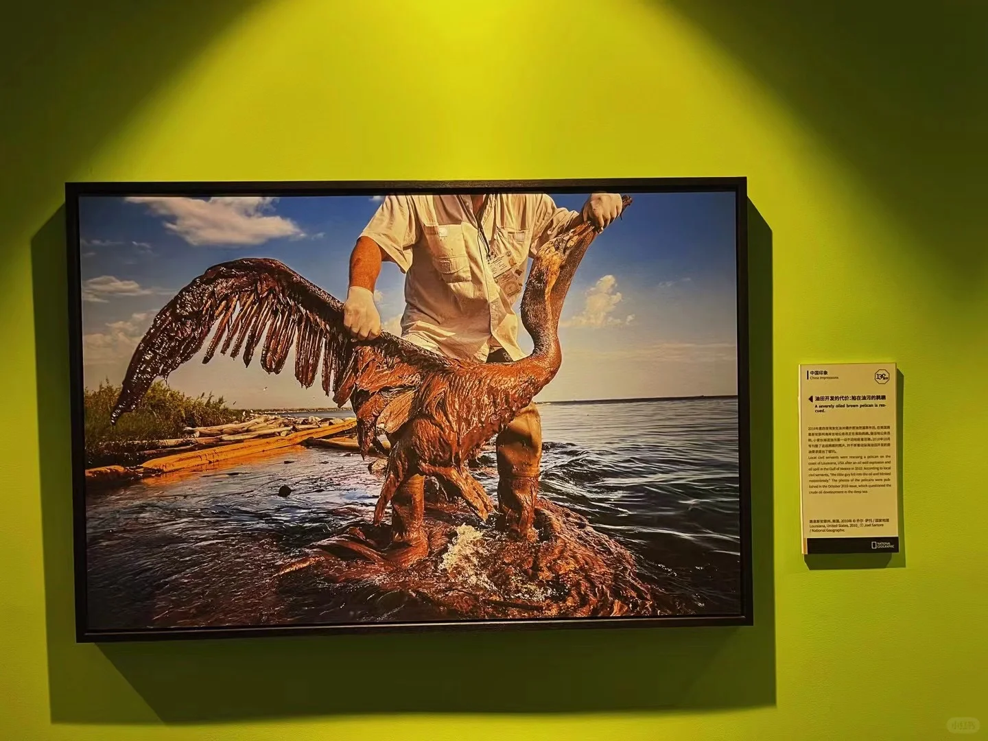 把世界?各地的美好收纳到展览里?