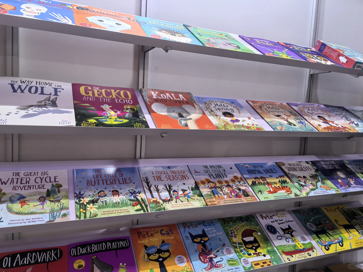 BIBF书展—只能看不能买