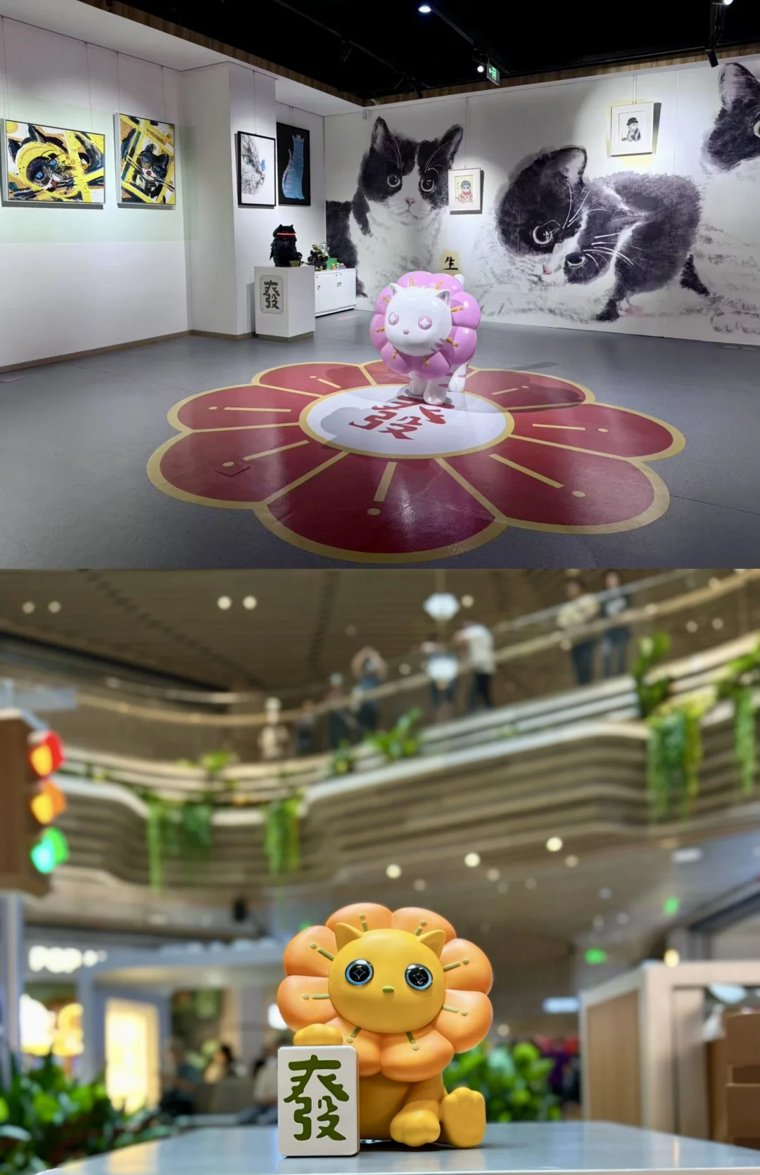 厦门新展！！速去！！超可爱的猫猫展 ！！！