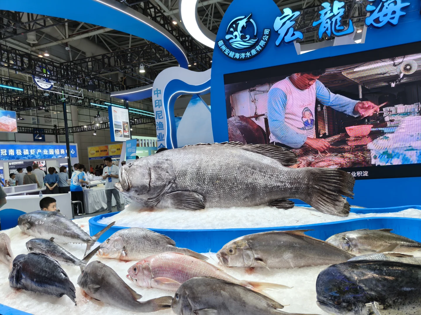 小夫妻周末日常之逛渔业博览会