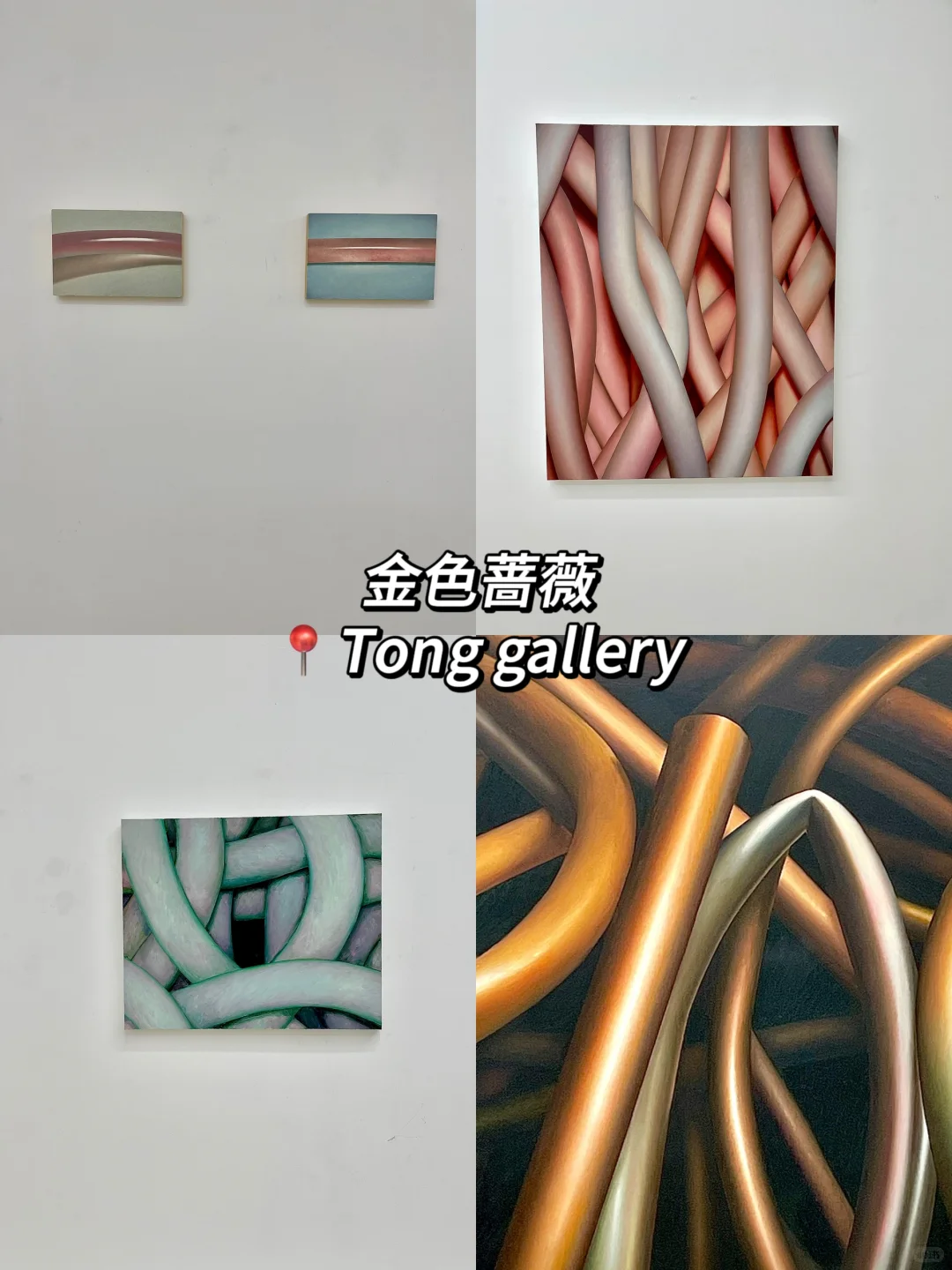 798艺术区?6?️免费展合集!真不要一分钱?