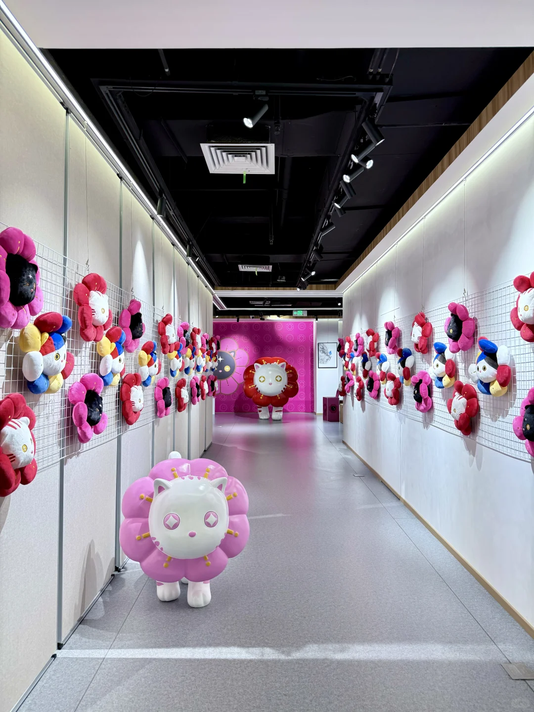 厦门新展！！速去！！超可爱的猫猫展 ！！！