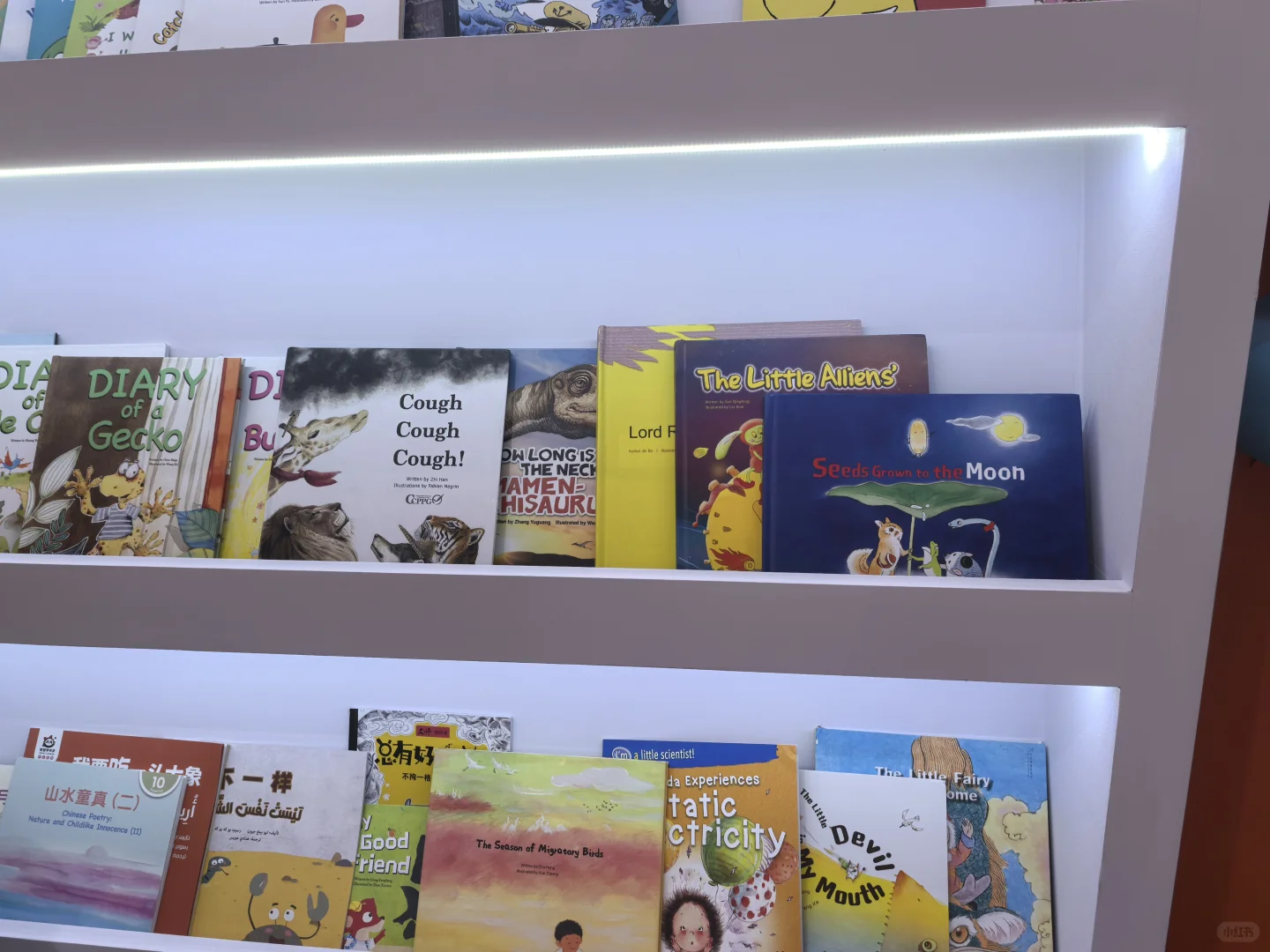 BIBF书展—只能看不能买