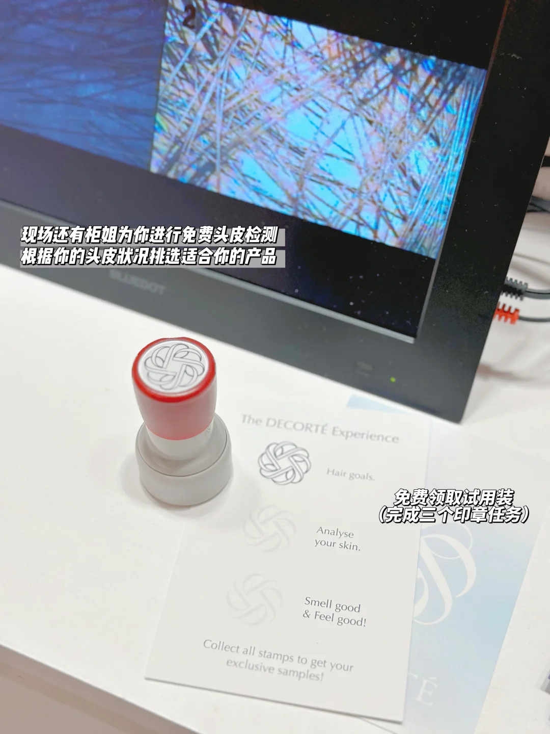 ??黛珂展会必打卡攻略！