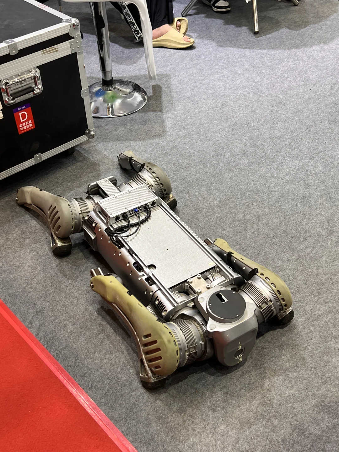 看机器人会展中