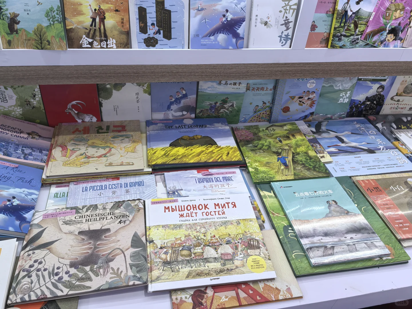 BIBF书展—只能看不能买