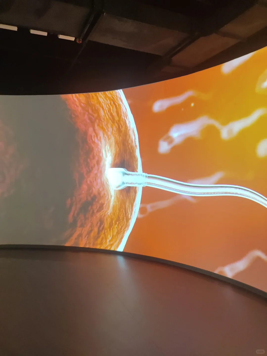 倒计时3天❗细胞生命科技馆入驻亚欧博览会