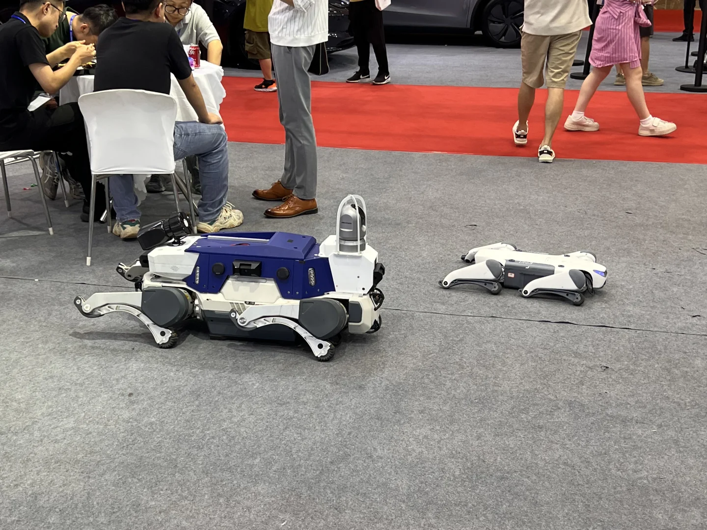 看机器人会展中