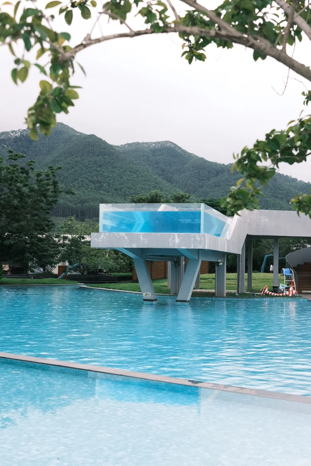 Summer and freedom???