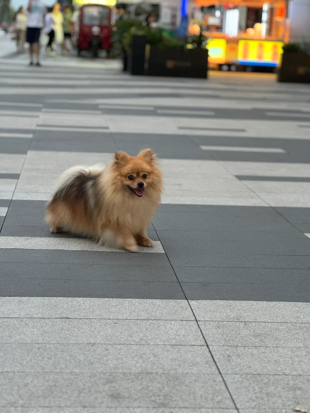 社区团购第一天，给大家说说我的思路。