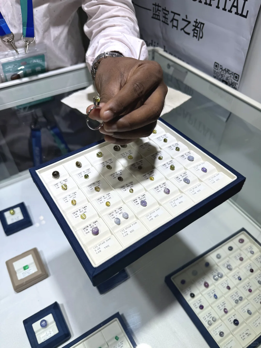 下雨也要去的南博会/免费门票速领