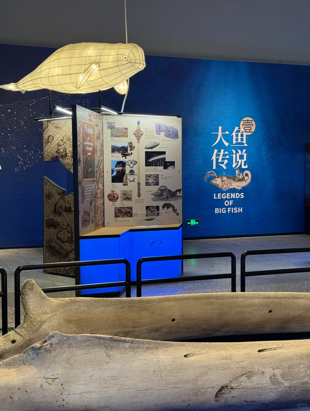 石家庄！新展！海底世界！趁没人赶紧来
