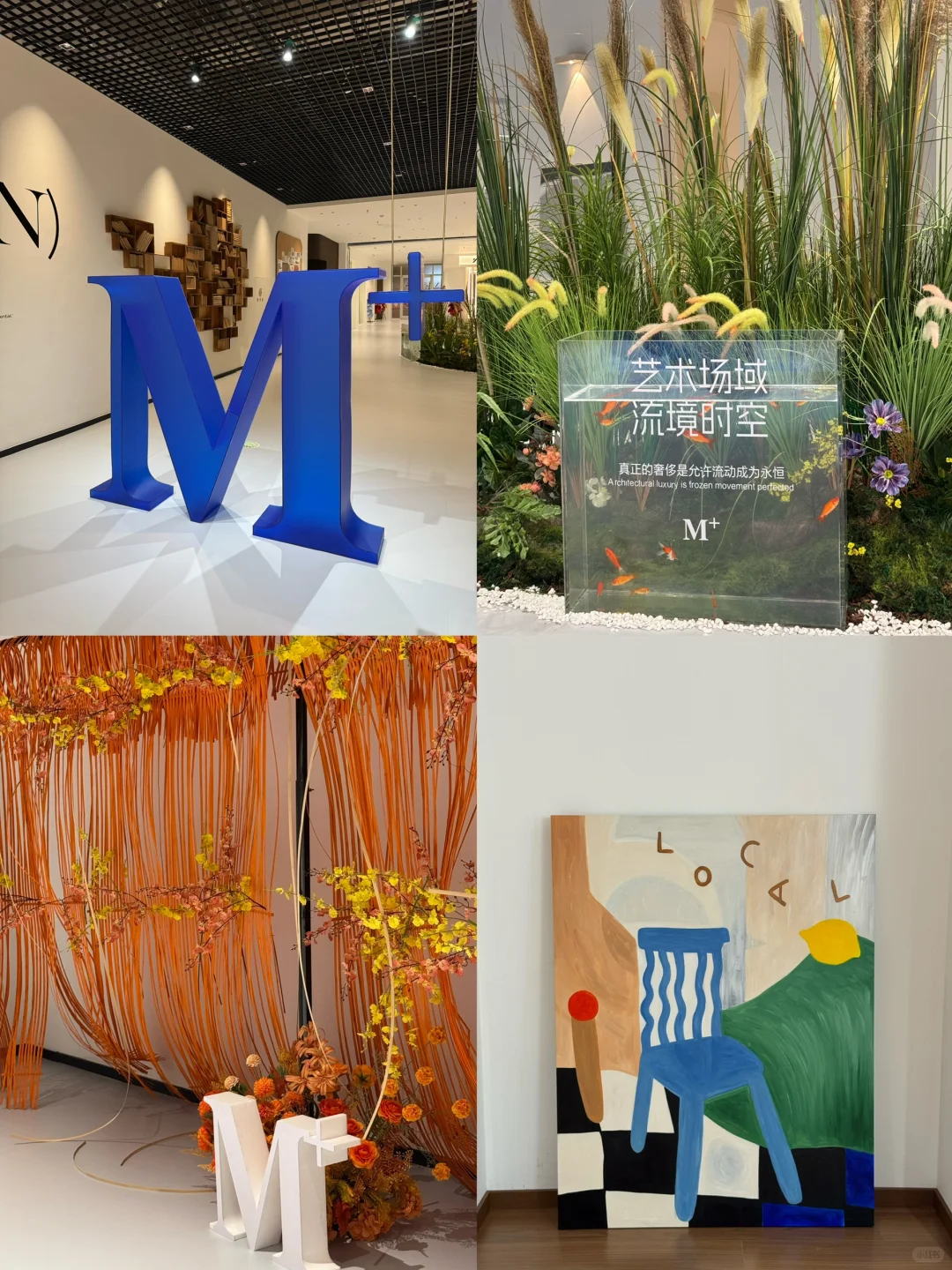 石家庄！预测一下个会?的新展……！！！